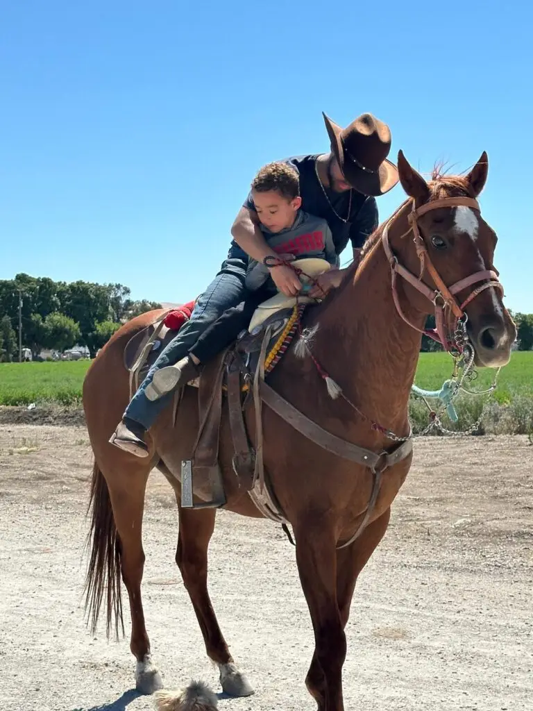 Gallery – Cowboy Horse Trail Rides